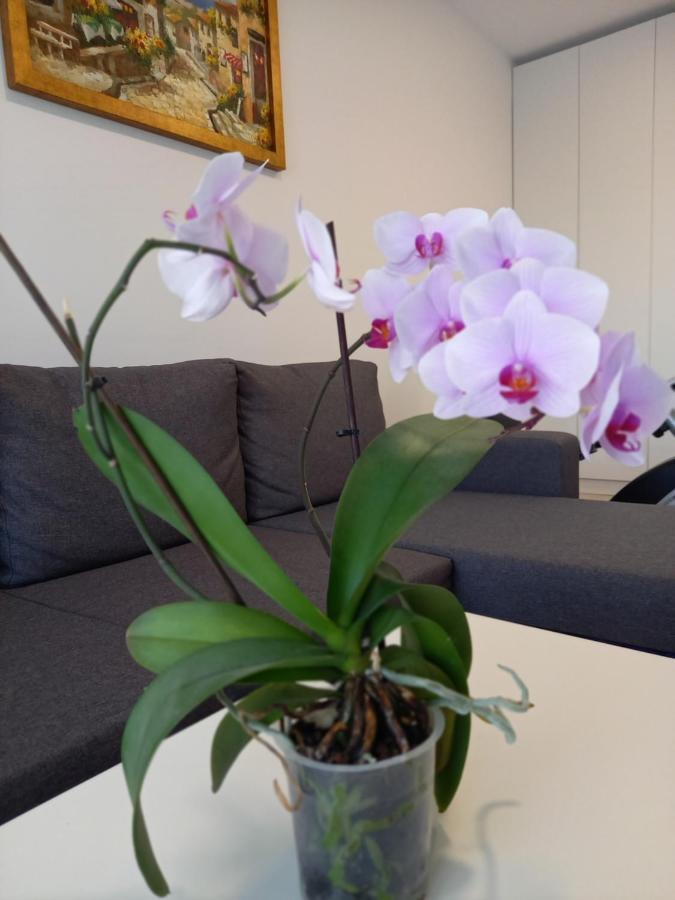 أرادايا Lavanda Apartment المظهر الخارجي الصورة